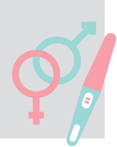 istock paper with male and female symbol 815612894