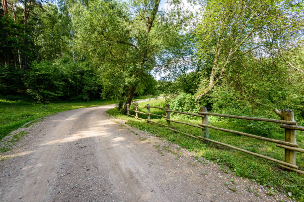 istock gravel road in summer countryside 815616084