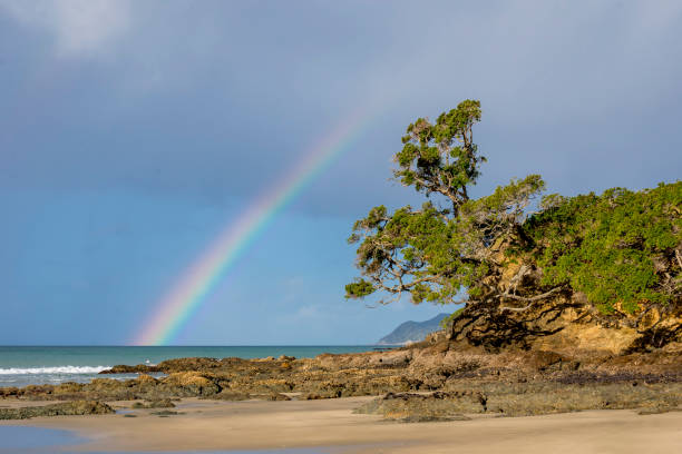 istock Rainbow over Waipu Cove with Pohutakawa 815630308