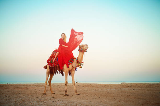 fashion model riding camel in the desert in sunset time.