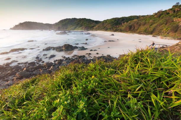 Beautiful tropical, lush green coastline beach and sea stock photo