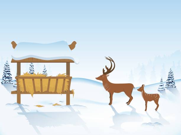 deer go to the feeder the deer near the feeders in the winter forest. the snow drifts. a haystack. landscape. vector illustration. scenic. Christmas tree in the snow. animals feeding stock illustrations