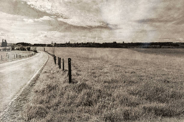 Country road between spring fields with green grass in Belgium. Belgian landscape with meadow and pasture. Vintage style toned picture