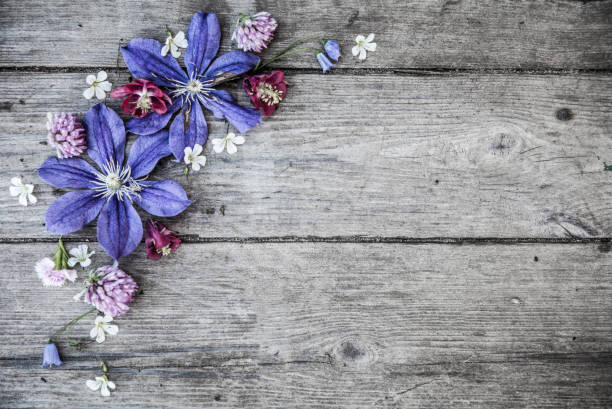 Gartenblumen über Holzhintergrund – Foto