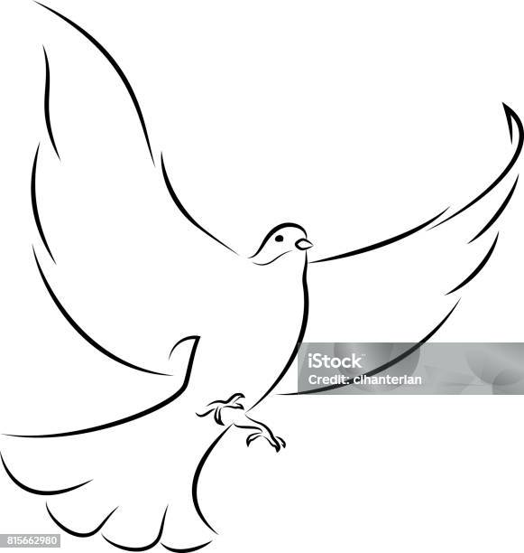 Flying White Dove Stock Illustration - Download Image Now - Dove - Bird, Illustration, Pigeon