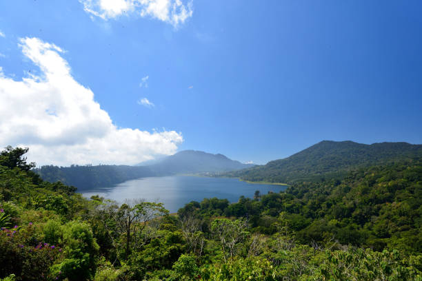 istock Buyan Lake (twin lake), Bali, Indonesia. 815680328
