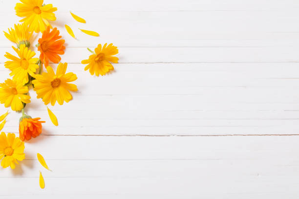 istock Calendula (Marigold) herbal tea  on white wooden table 815681328
