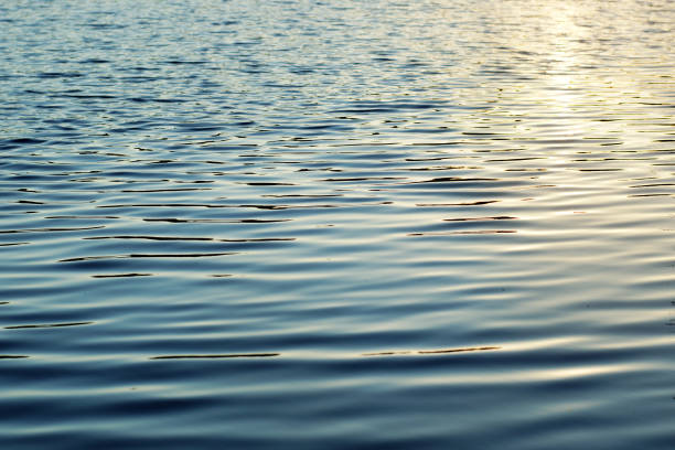 istock The water surface, illuminated by the sun, light waves and ripples on the water 815681406