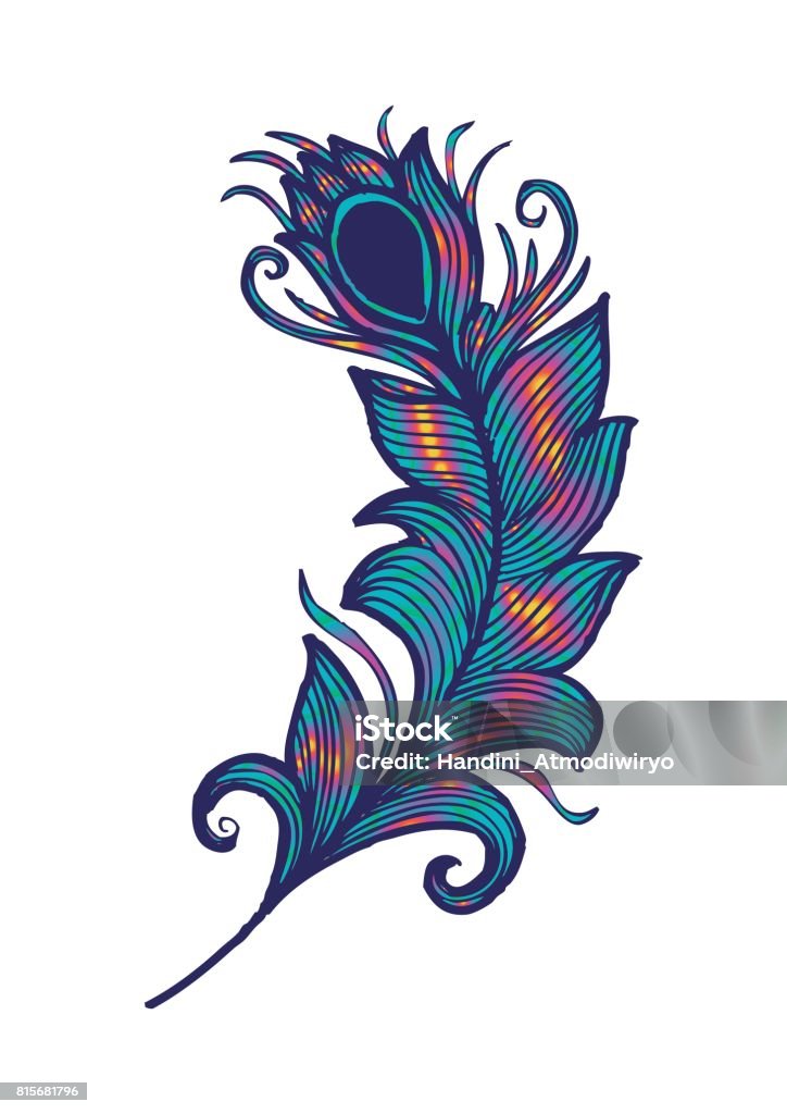Ilustración de Pluma De Pavo Real De Belleza Ilustración De Dibujo De Mano y más Vectores Libres de Derechos de Ave de corral - iStock Ilustración de Pluma De Pavo Real De Belleza Ilustración De Dibujo De Mano y más Vectores Libres de Derechos de Ave de corral - iStock
