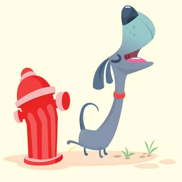 Vector illustration of Cartoon Purebred Dachshund   pee on hydrant. Vector illustration