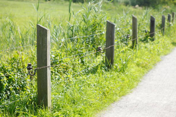 istock Wooden fence, pasture fence 815703614
