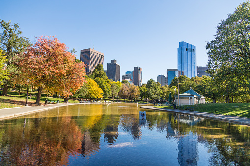 Colorful autumn foliage in the Boston Common Frog Pond, the oldest public park in Boston, United States.