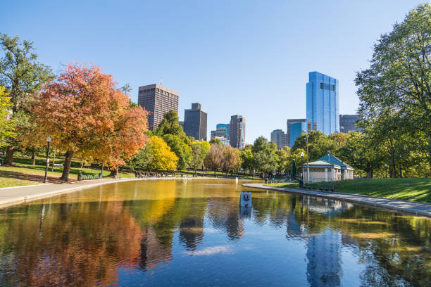 Autumn in Boston Colorful autumn foliage in the Boston Common Frog Pond, the oldest public park in Boston, United States. clear sky usa tree day stock pictures, royalty-free photos & images