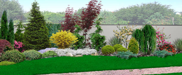 istock Unified look of Blooming garden, 3d render 815747984