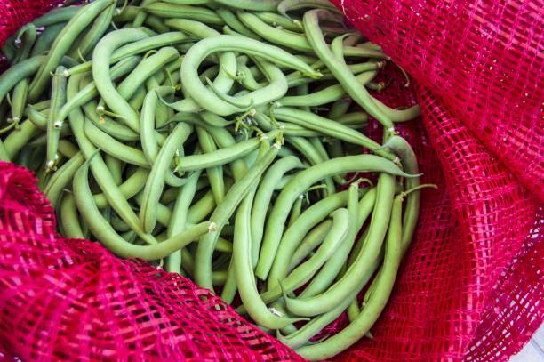 istock Fresh green bean paintings purchased for cooking, 815757000