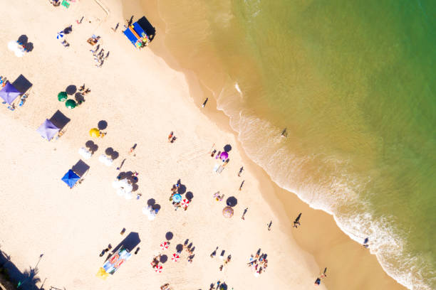 istock Aerial view of people at the beach 815761208
