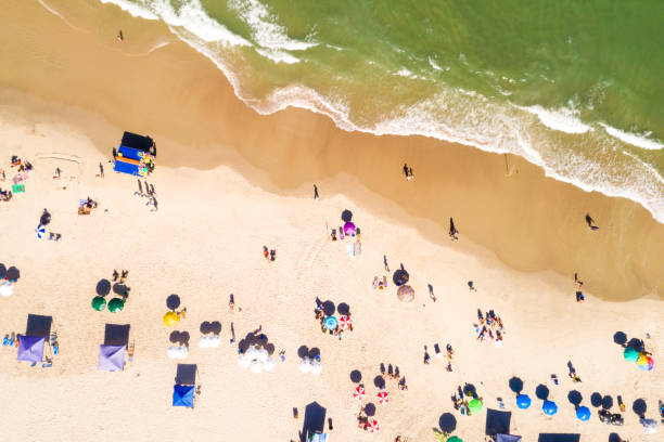 istock Aerial view of people at the beach 815761348