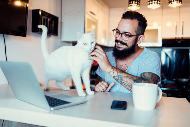 istock Man working at home with white cat next to him 815761976