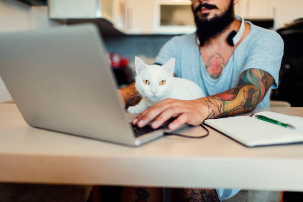 istock Man working at home on laptop with white cat next to him 815766782