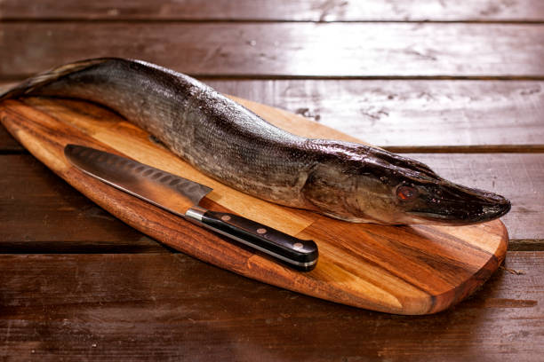 istock Fresh Fish in the kitchen.. Culinary seafood eating. 815767064