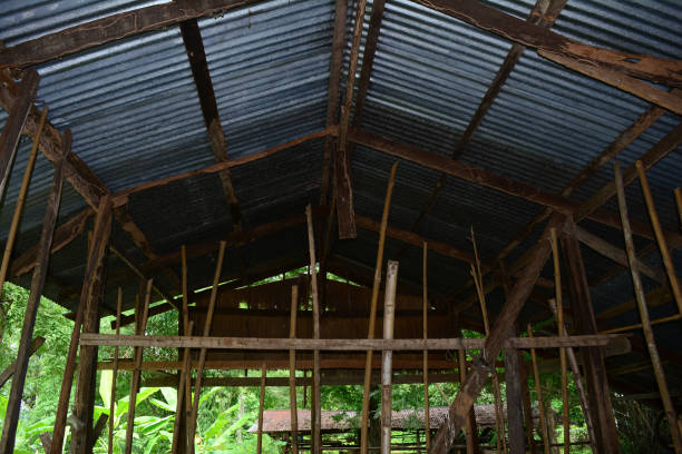 istock old farmhouse and disaster from termites 815782446