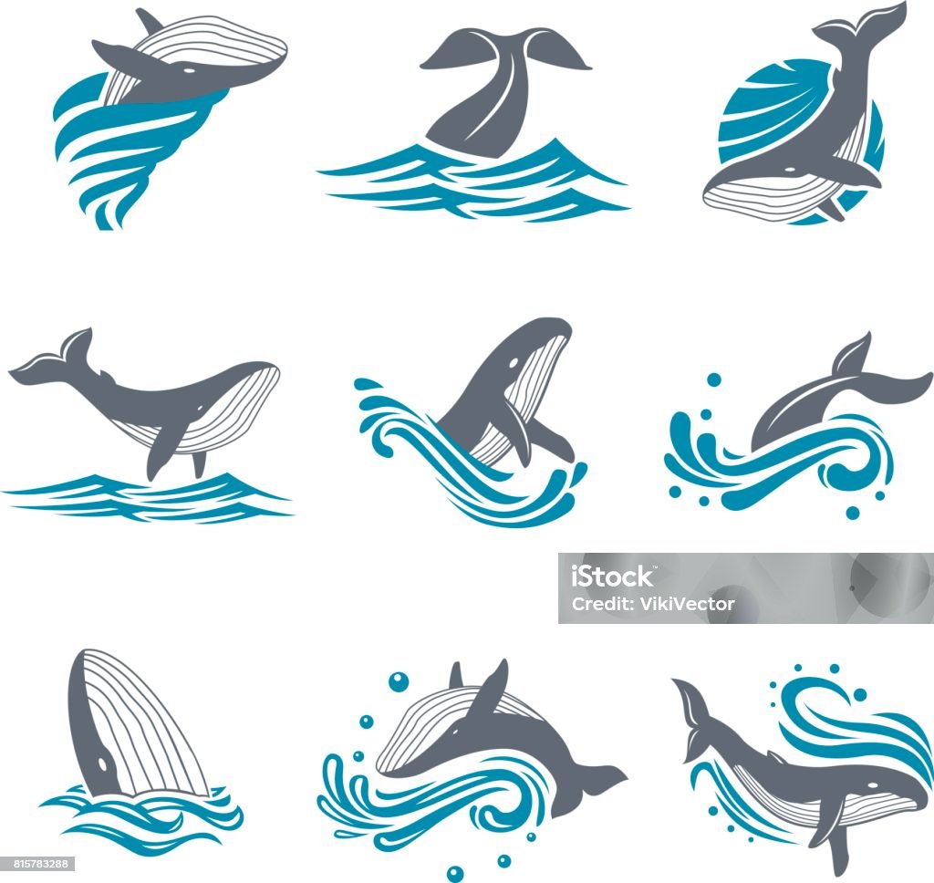 Whale among sea waves and splashes vector icon set Whale among sea waves and splashes vector icon set. Illustration of a diving and floating whale in the blue sea. Marine mammal icon on white background. Whale stock vector