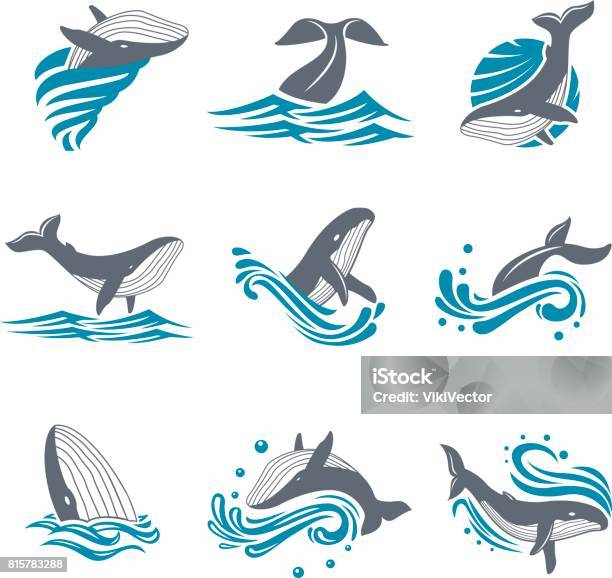 Whale Among Sea Waves And Splashes Vector Icon Set Stock Illustration - Download Image Now - Whale, Humpback Whale, Vector