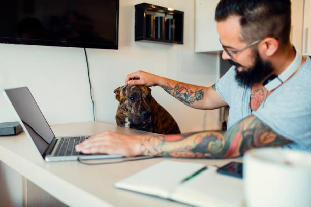 istock Man working at home with his dog next to him 815783996