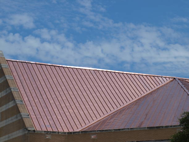 new copper roof - ribbed vaulting imagens e fotografias de stock