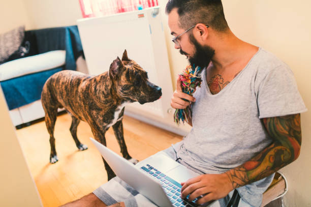 istock Man using laptop at home with his dog next to him 815798872