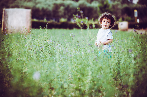 Passeggia de Bambino en una distesa di fiori e fieno en finca photo