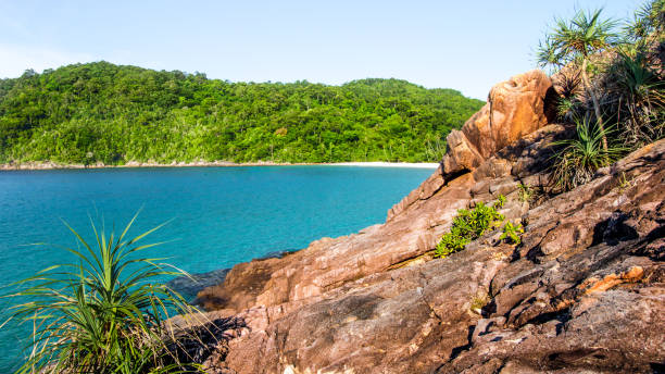 istock beach rocks sea palms island 815815386
