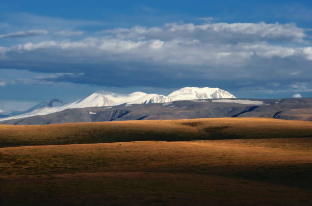istock Highland sunset fields with yellow grass on a background of dramatic snow ice covered high mountains and glaciers under clouds and blue sunset sky, Plateau Ukok, Altai mountains, Siberia, Russia 815820114