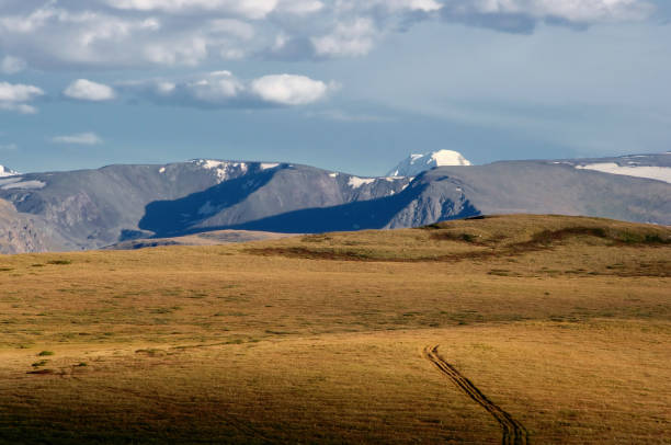 istock Road path at highland fields with yellow grass on a background of dramatic snow ice covered high mountains and glaciers under clouds and blue sunset sky, Plateau Ukok, Altai mountains, Siberia, Russia 815820304
