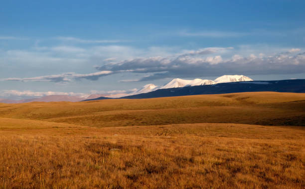istock Highland sunset fields with yellow grass on a background of dramatic snow ice covered high mountains and glaciers under clouds and blue sunset sky, Plateau Ukok, Altai mountains, Siberia, Russia 815820332