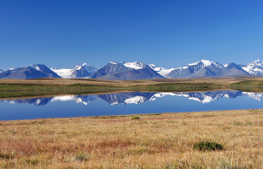 Colorful bright landscape steppe shore lake with dry yellow grass and reflection of high mountain range with snow glaciers ice under the blue sky and white clouds Ukok Plateau Altai Siberia Russia.