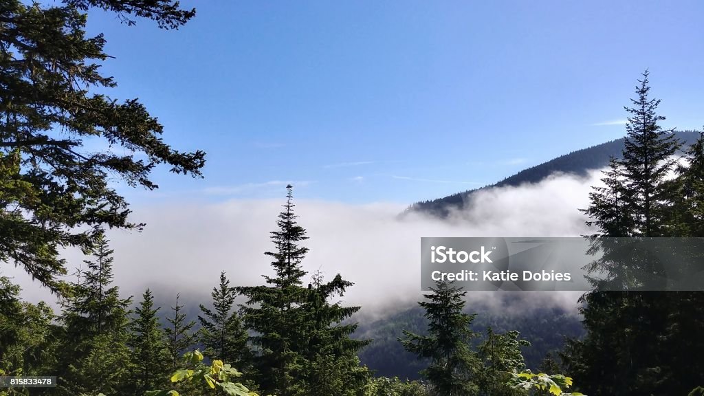 Nubes flotando sobre montañas, huracán Ridge, Parque Nacional Olympic, Washington - Foto de stock de Aire libre libre de derechos