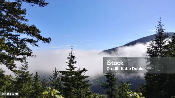 Nubes Flotando Sobre Montañas Huracán Ridge Parque Nacional Olympic Washington Foto de stock y más banco de imágenes de Aire libre