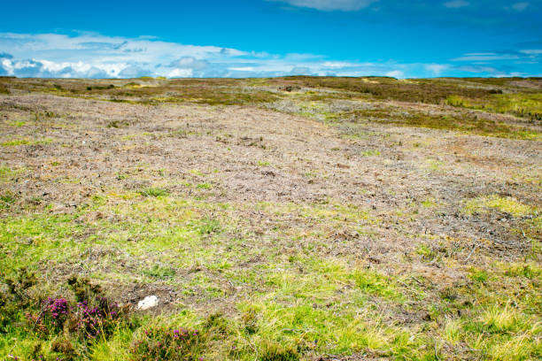 istock North Yorkshire Moors National Park 815833540