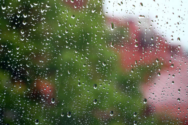 istock Rain drops on window glass with green in background 815835922