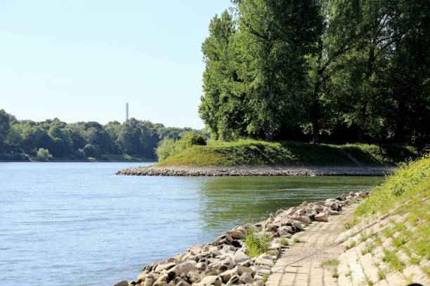 istock Rhine near Ludwigshafen, Germany 815839656