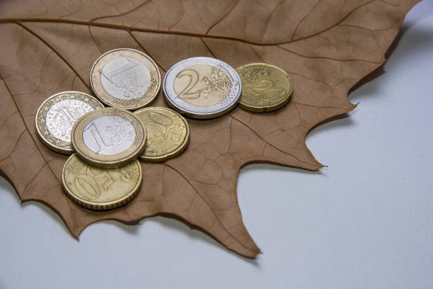 istock Euro coins on the dry brown maple leaf 815854070