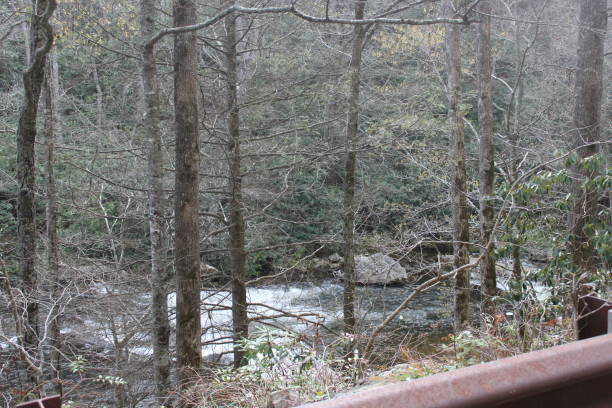 istock North Carolina and Georgia Views 815867130