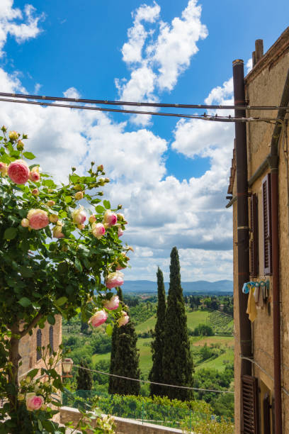 istock Amazing Firenze, Italy 815878424