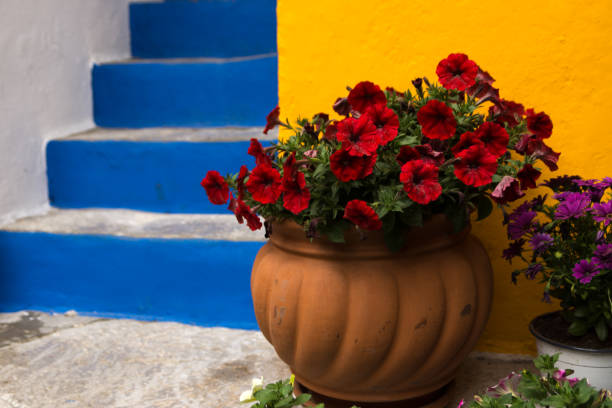 Bright blue stairs in small Island Symi in Greece