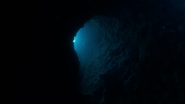 moving-inside-dark-underwater-tunnel.jpg