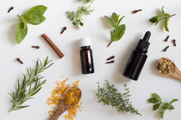 istock Selection of essential oils and herbs 815916024