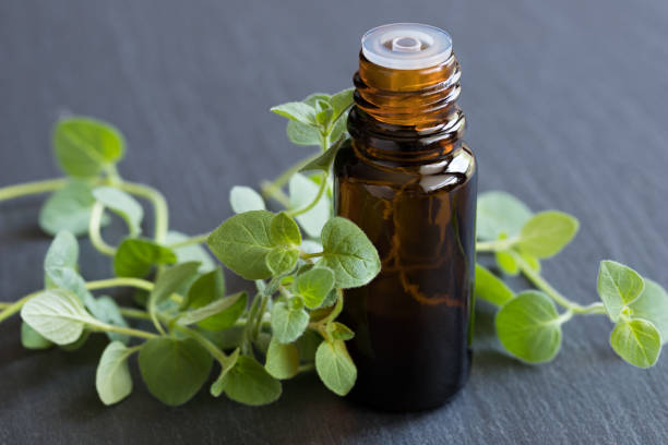 A bottle of oregano essential oil A bottle of oregano essential oil with fresh oregano leaves on a dark background oregano stock pictures, royalty-free photos & images