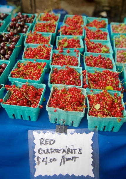 istock farmer's market currants 815925136