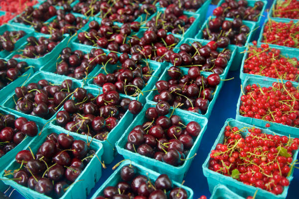 istock farmer's market cherries 815927368